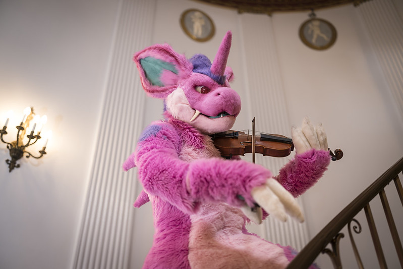 Photo of Rhubarb playing violin on an ornate staircase